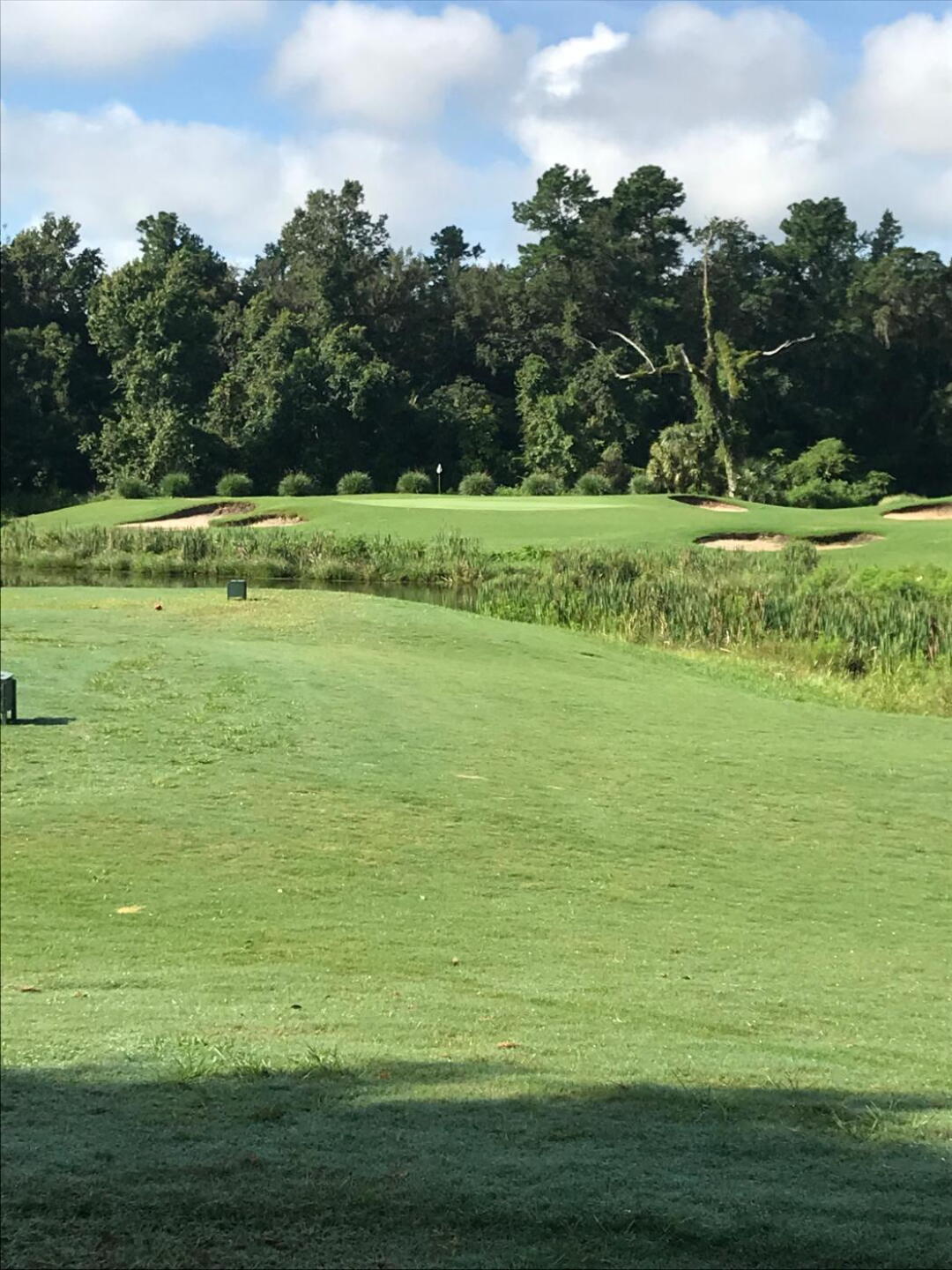 (Photo submitted by PinnacleStaffer on 07/31/2019)