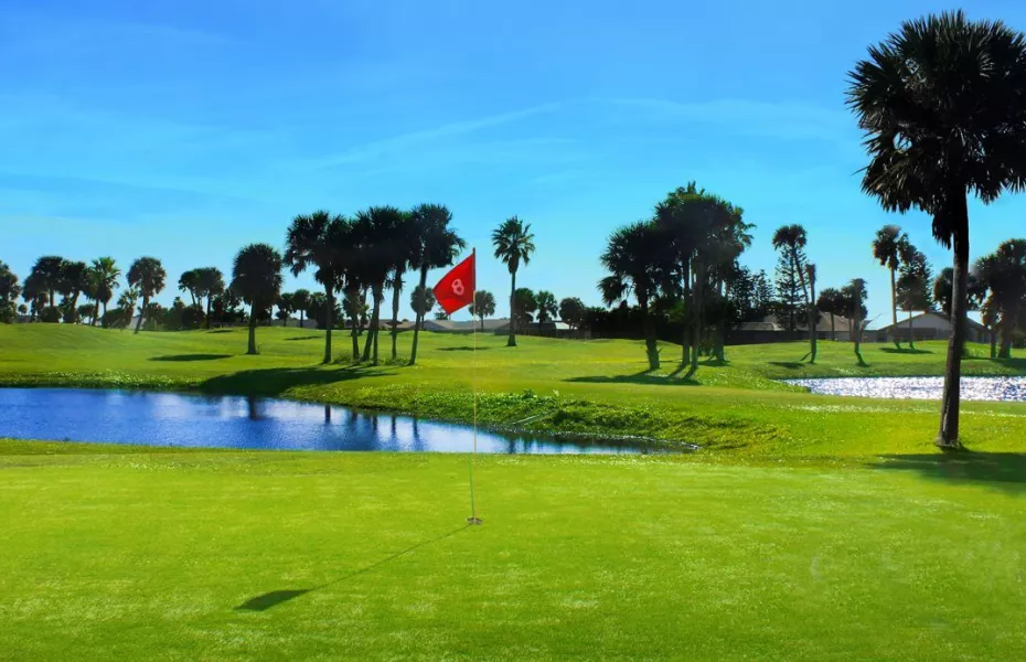 Ocean Palm GC: #8