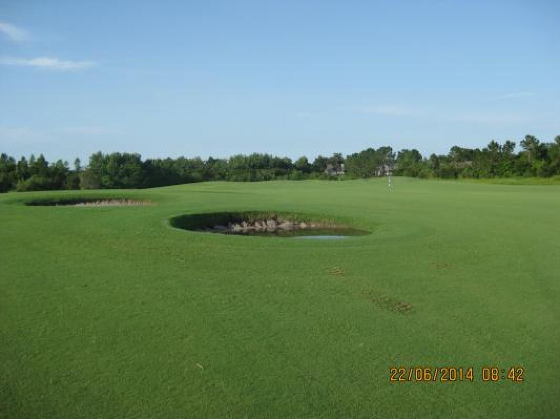 RSC Blue #6 Green from Fairway (Photo submitted by Steve8905914 on 06/22/2014)