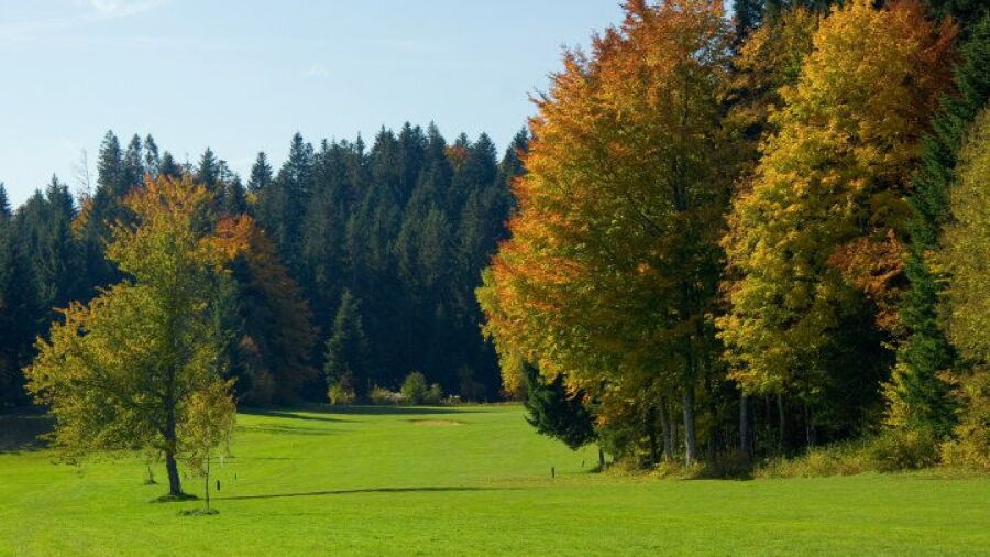 Pontarlier les Etraches GC