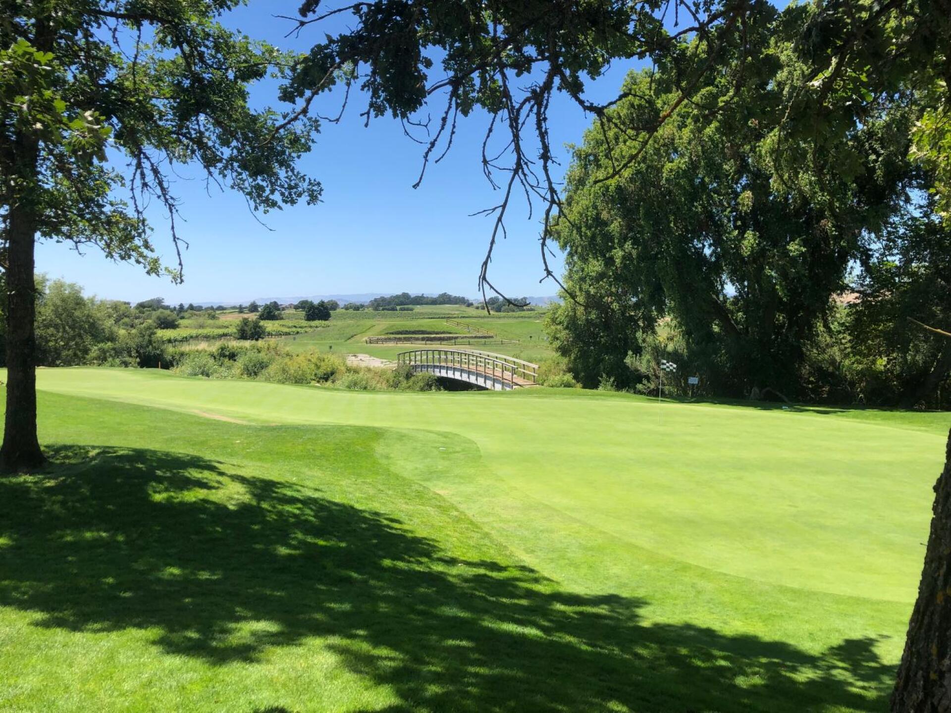 (Photo submitted by MJDCA on 06/22/2019)