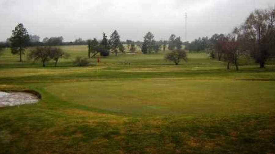 Fray Bentos GC: #6