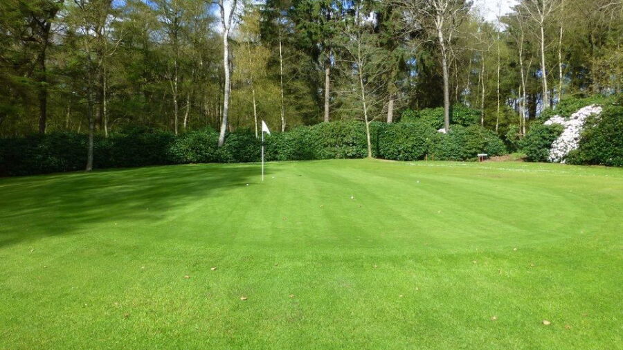 Ostfriesland GC - A: #5