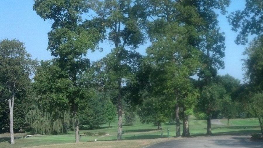 Turtle Creek GC