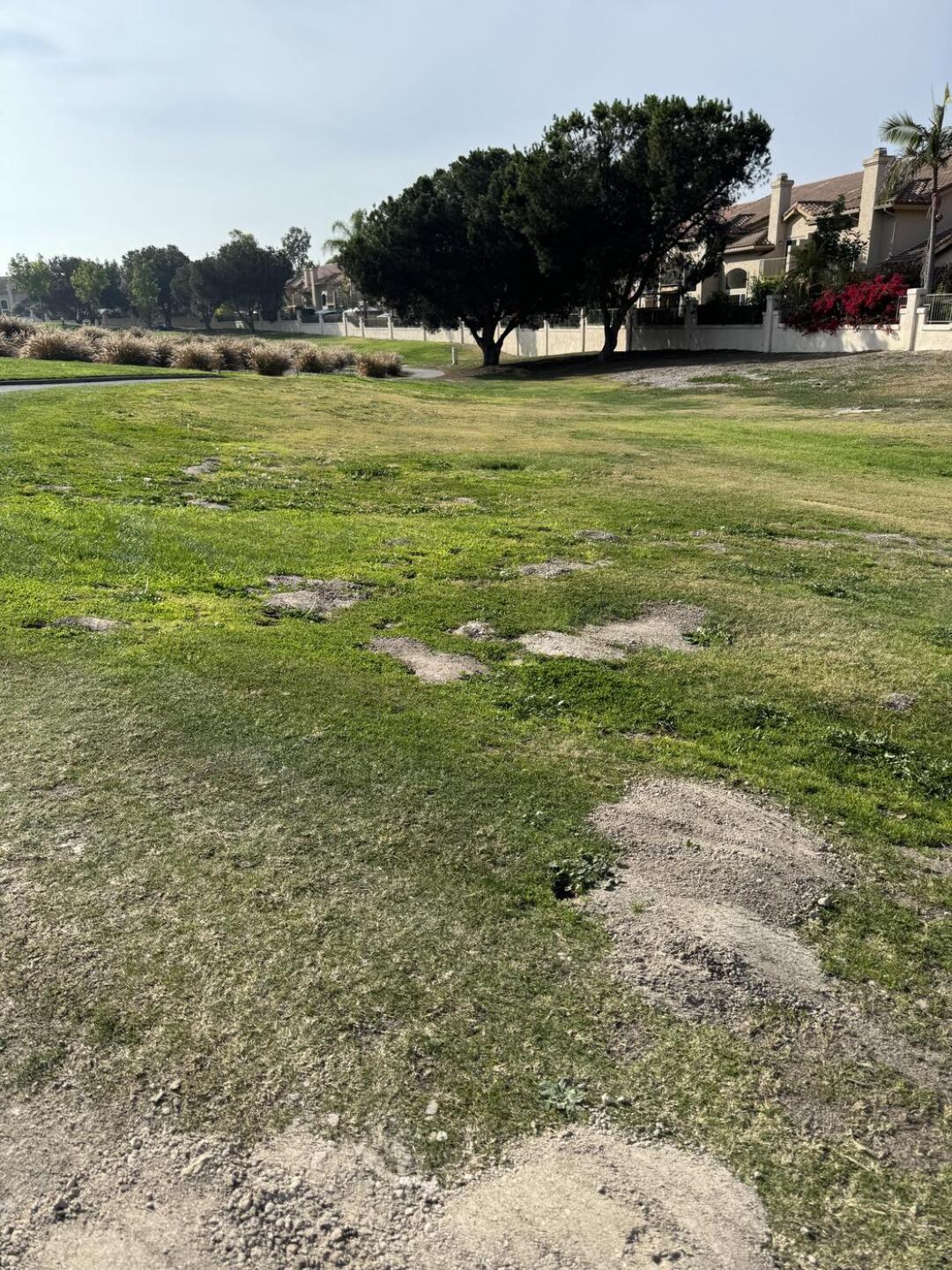 (Photo submitted by Harhoang on 12/28/2023)