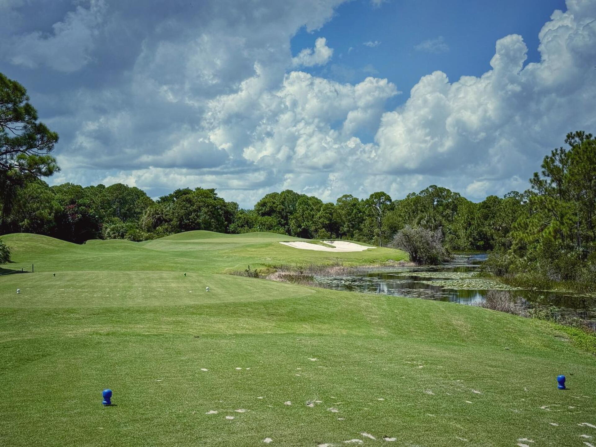 The Habitat, hole 5 (Photo submitted by TimGavrichGP on 11/29/2025)
