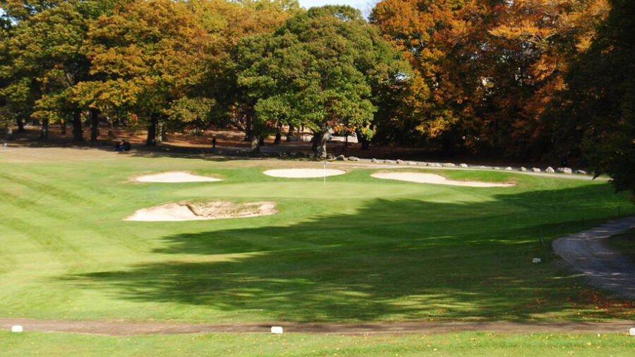William J. Devine GC at Franklin Park: #8