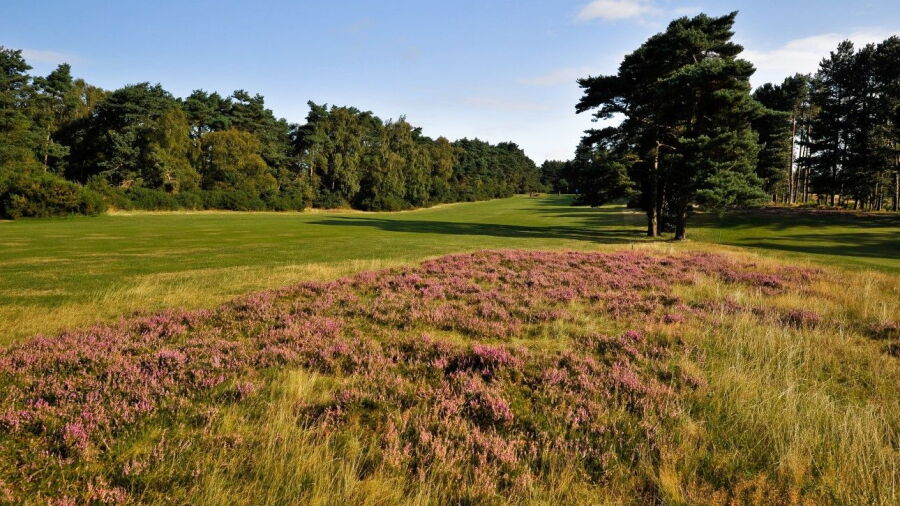  Bixley at Ipswich GC: #4