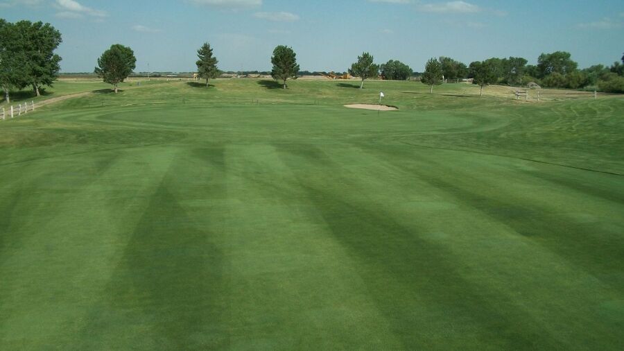 Tamarisk GC: #8