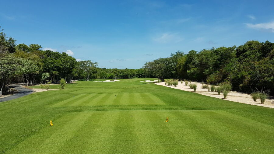 Gran Coyote Golf Riviera Maya: #8