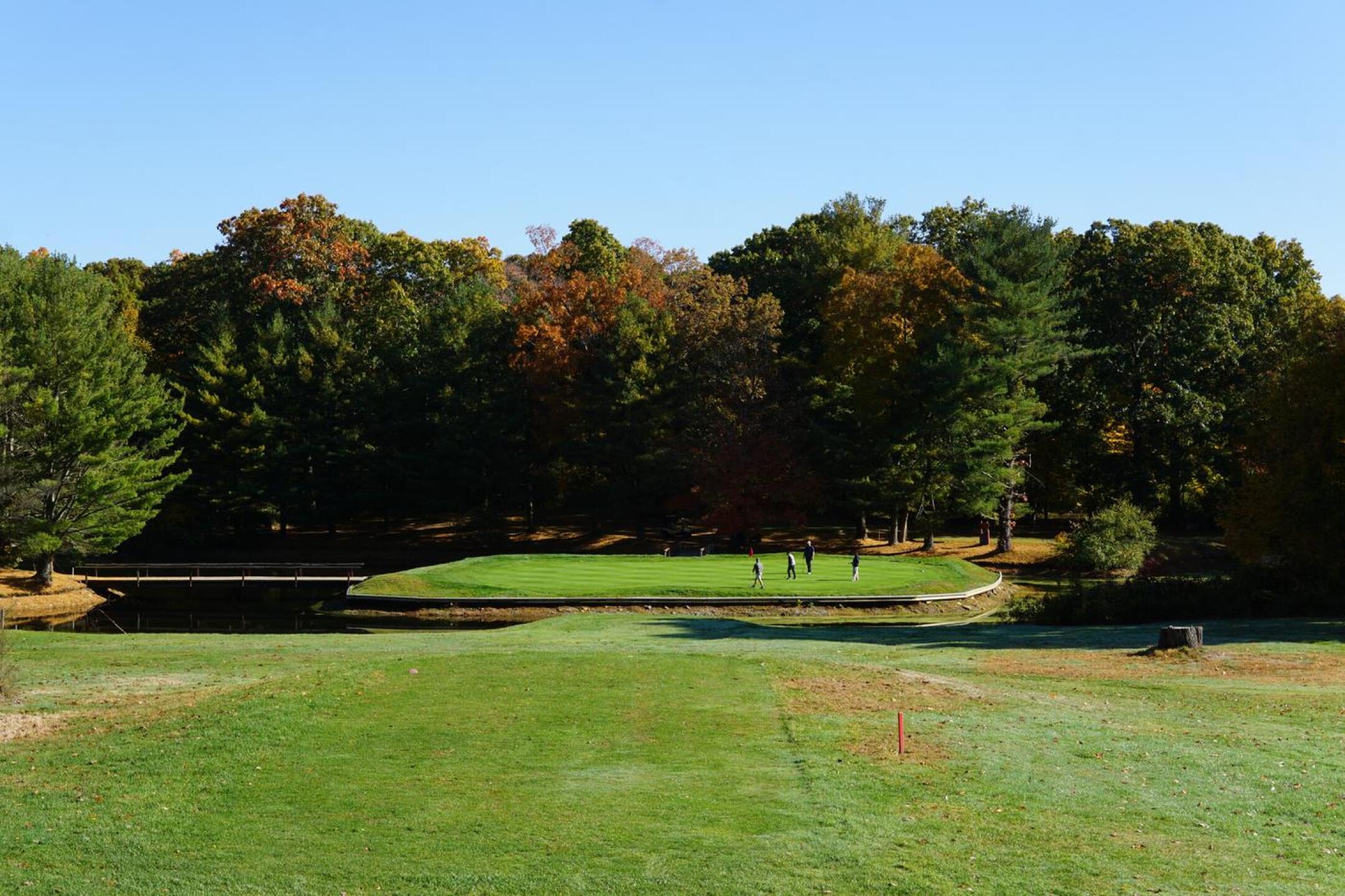 Four, on the other hand, yields few birdies. (Photo submitted by AptlyLinked on 10/20/2022)