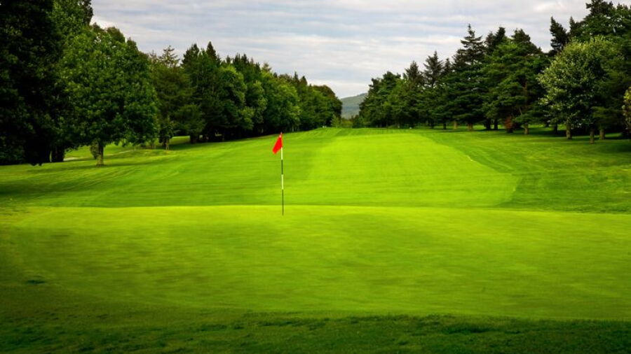 Mallow GC: #13