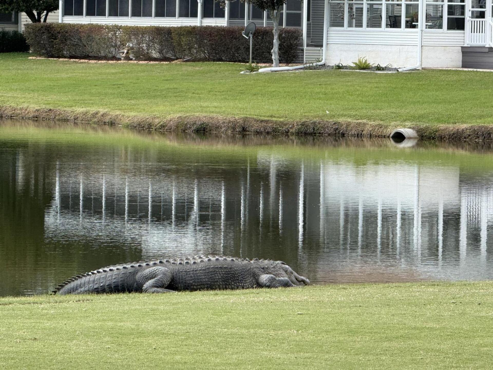 (Photo submitted by DebDilks on 12/28/2025)