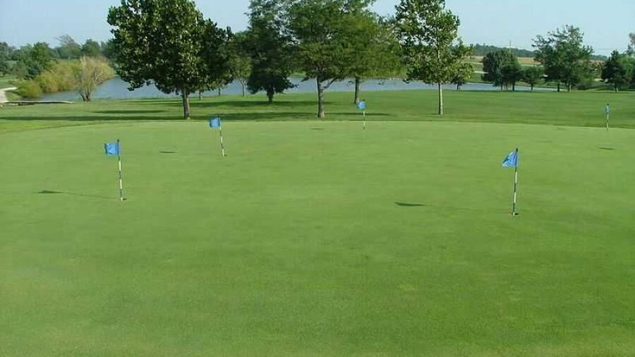 Smiley's Executive GC: Puttin green