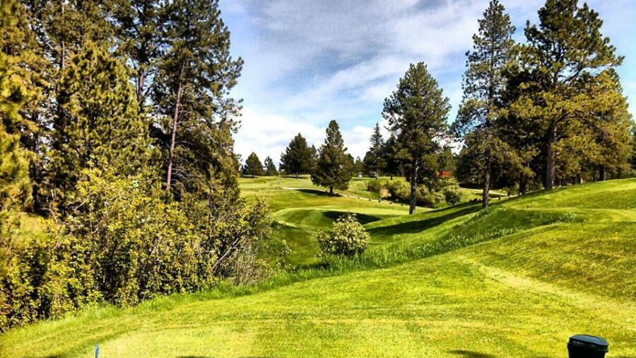 Pine Meadows GC: #6