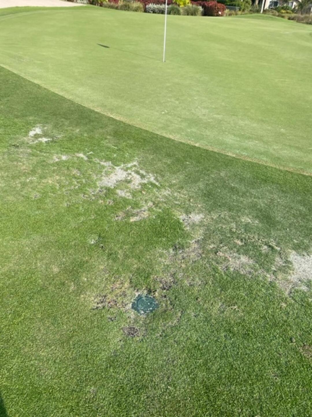 (Photo submitted by u079326129 on 03/07/2023)