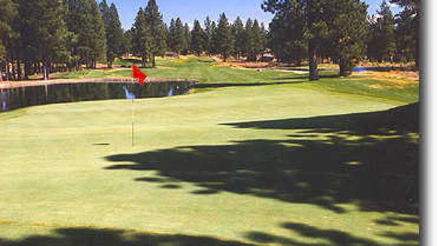 Widgi Creek #6