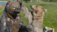 Honda Classic: Previewing the Bear Trap