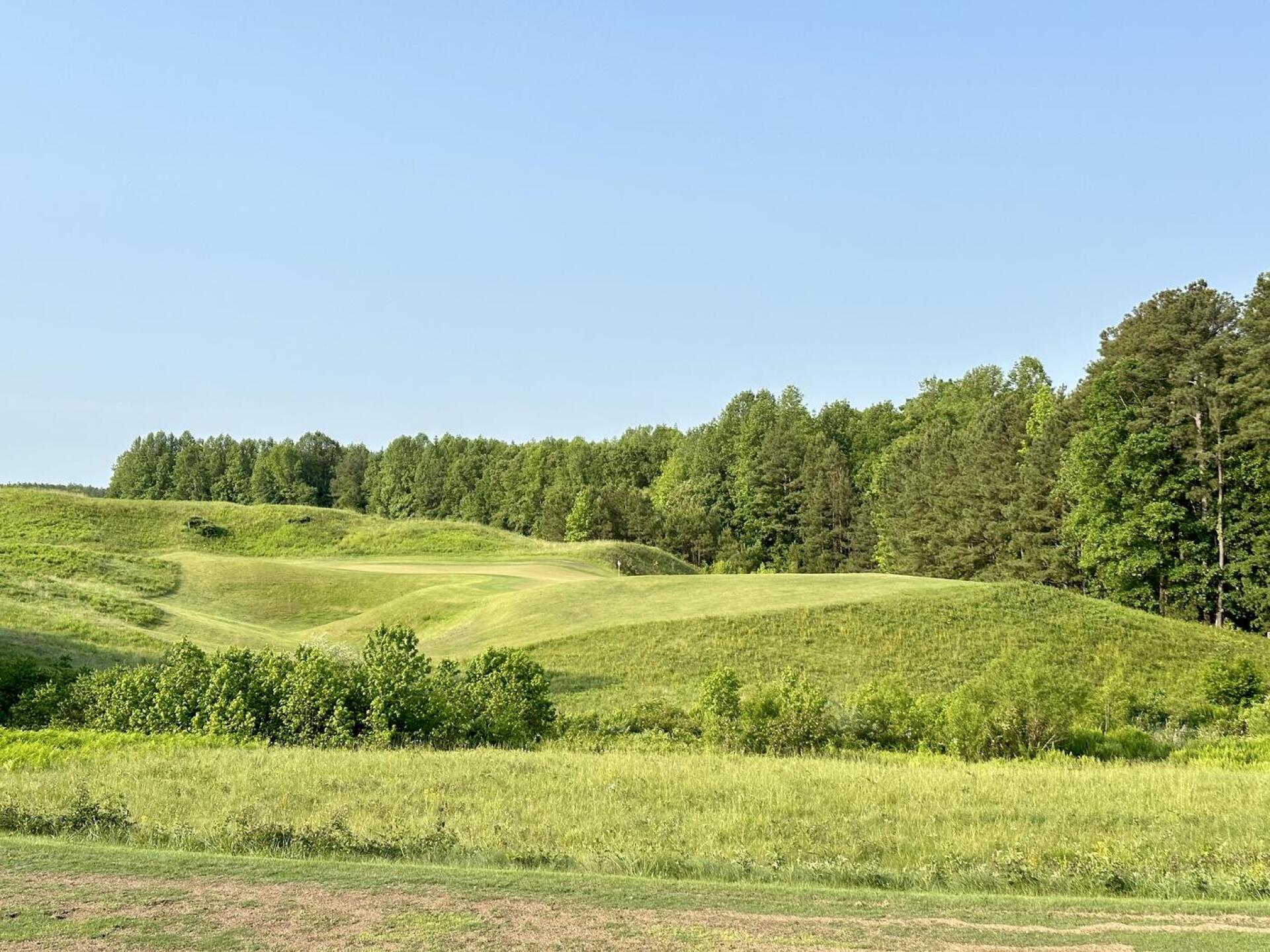 Royal New Kent Golf Club, hole 3 (Photo submitted by TimGavrichGP on 08/24/2023)