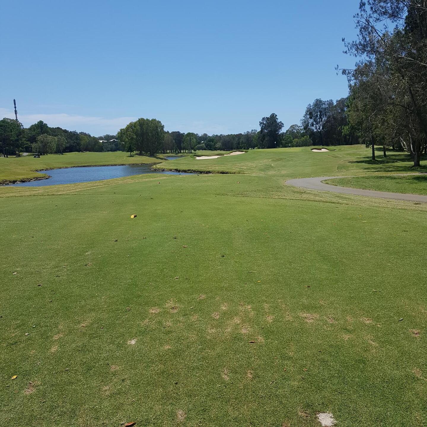 (Photo submitted by q807628563 on 02/08/2023)