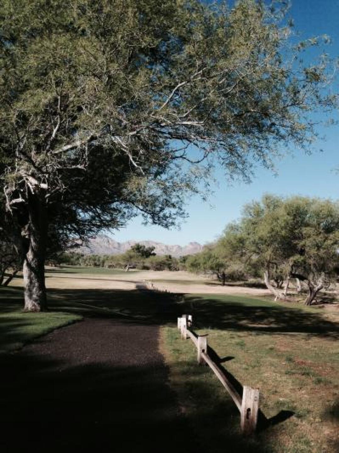 Tin Cup hole (Photo submitted by Sharon5655518 on 04/16/2014)