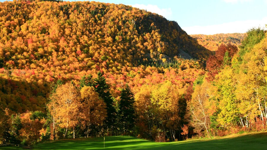 Cape Breton Highlands - hole 8