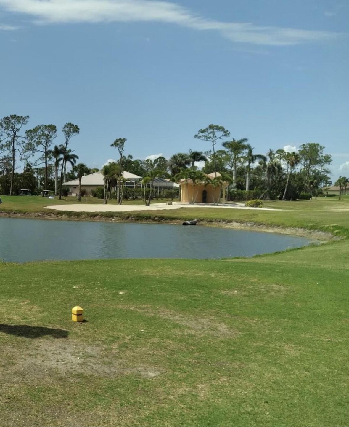 Lots of water in-play (Photo submitted by tarot on 04/15/2023)