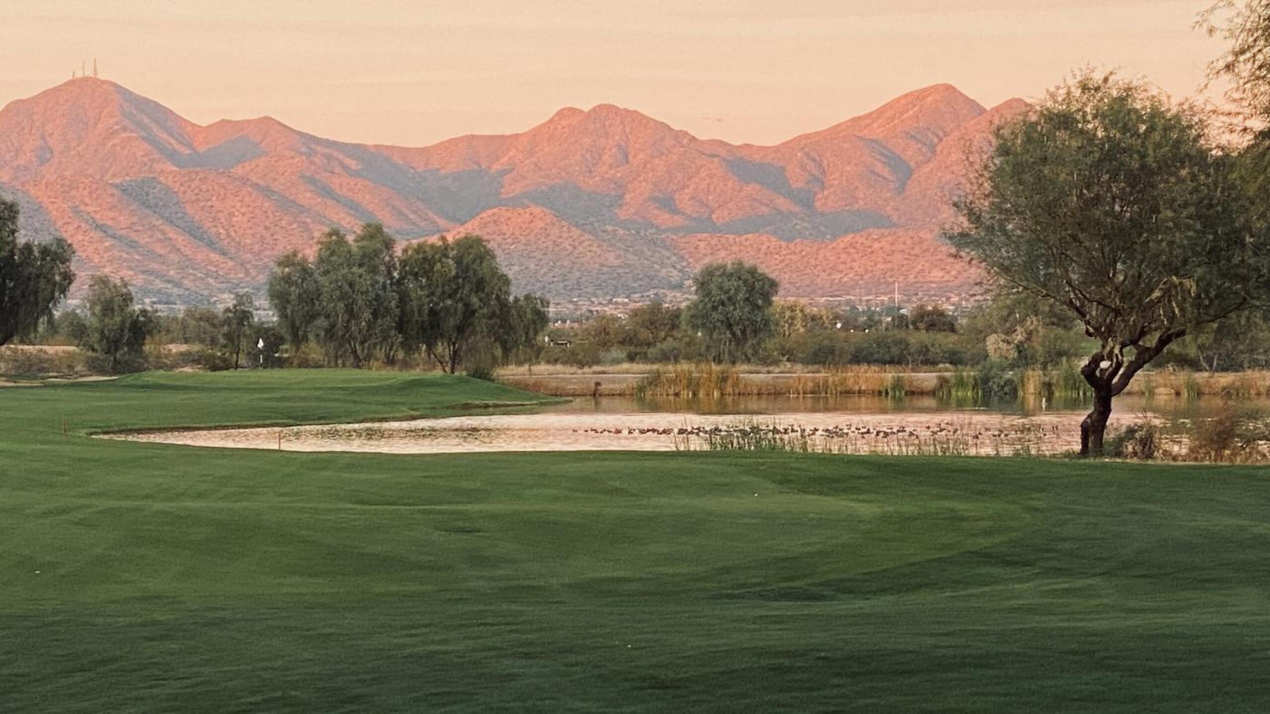 (Photo submitted by Bigjamaican on 12/13/2021)