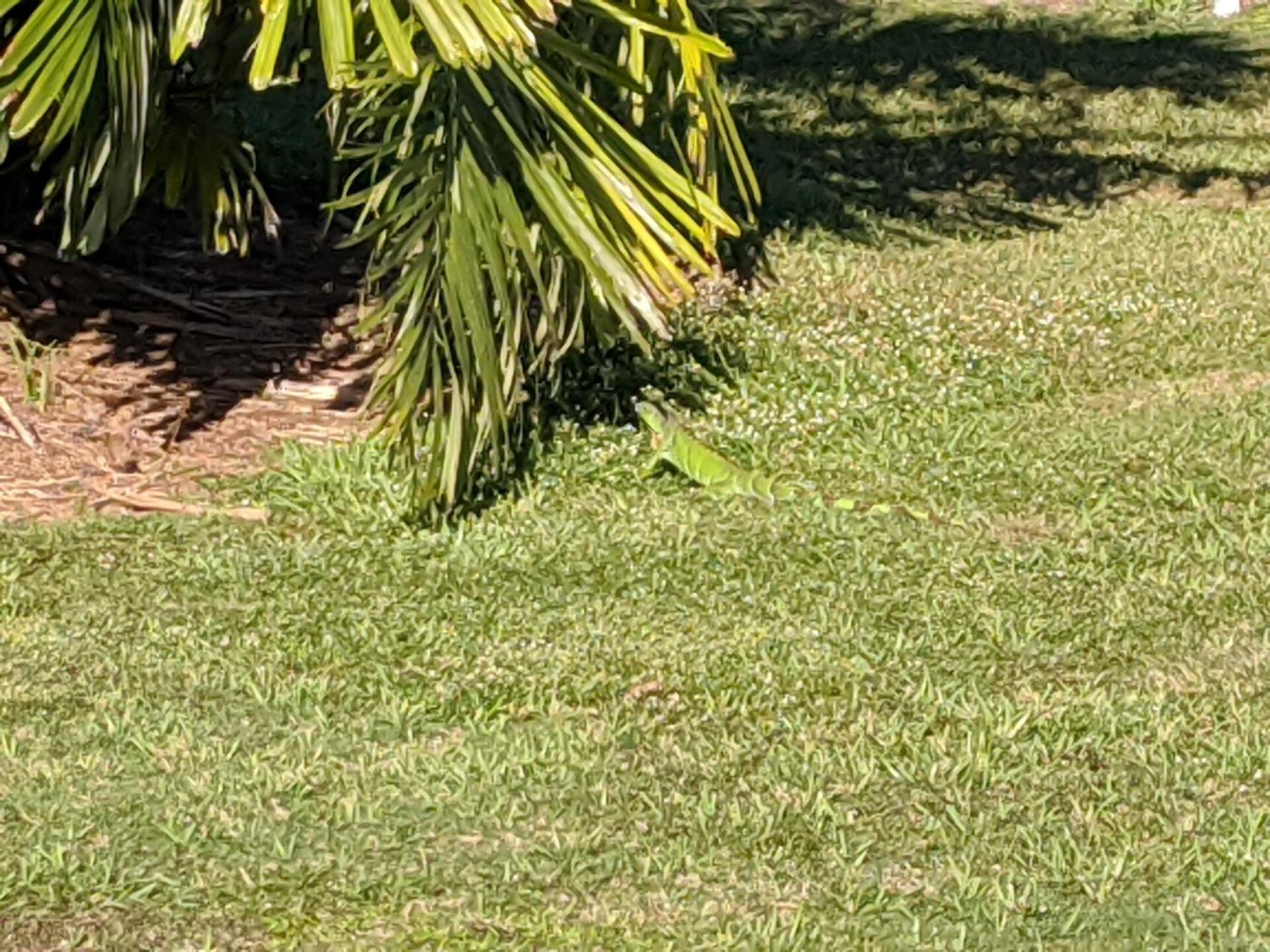 (Photo submitted by TeeFreak on 12/27/2019)