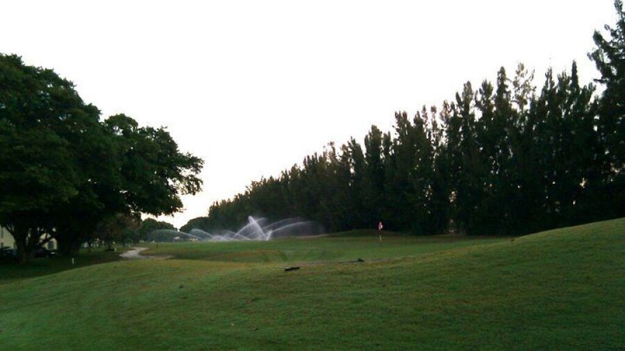 Palm-Aire CC - Palms: #10