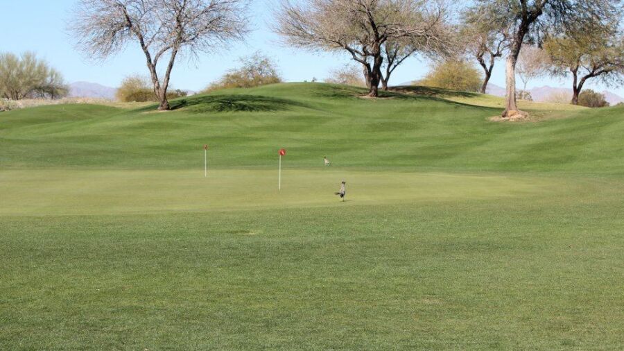 Falcon Dunes GC: Practice area