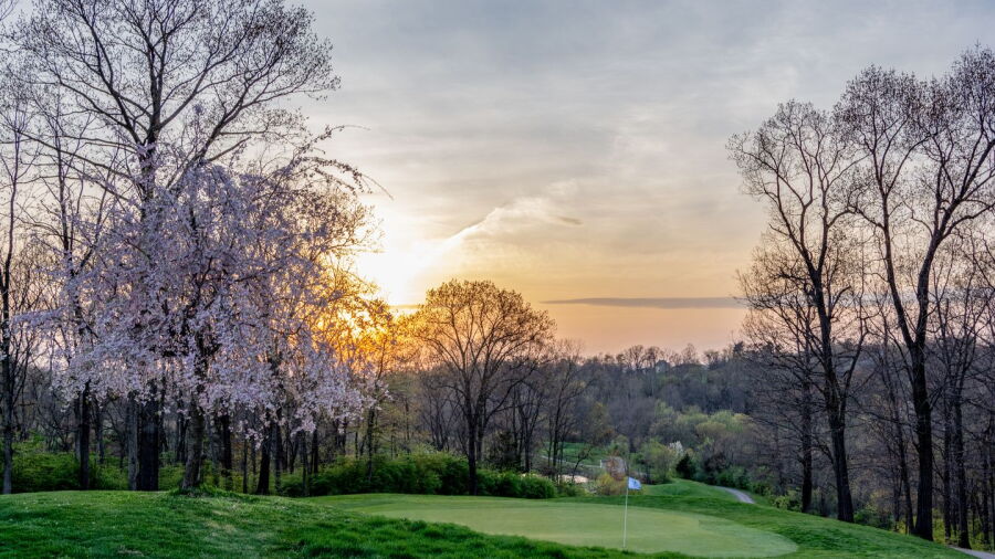 Greencastle GC: #11