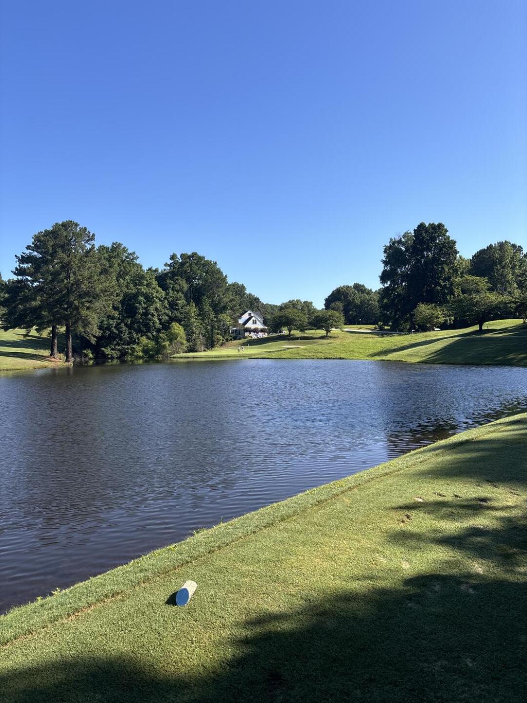 (Photo submitted by PZGcg0merke09MufYop2 on 06/25/2025)