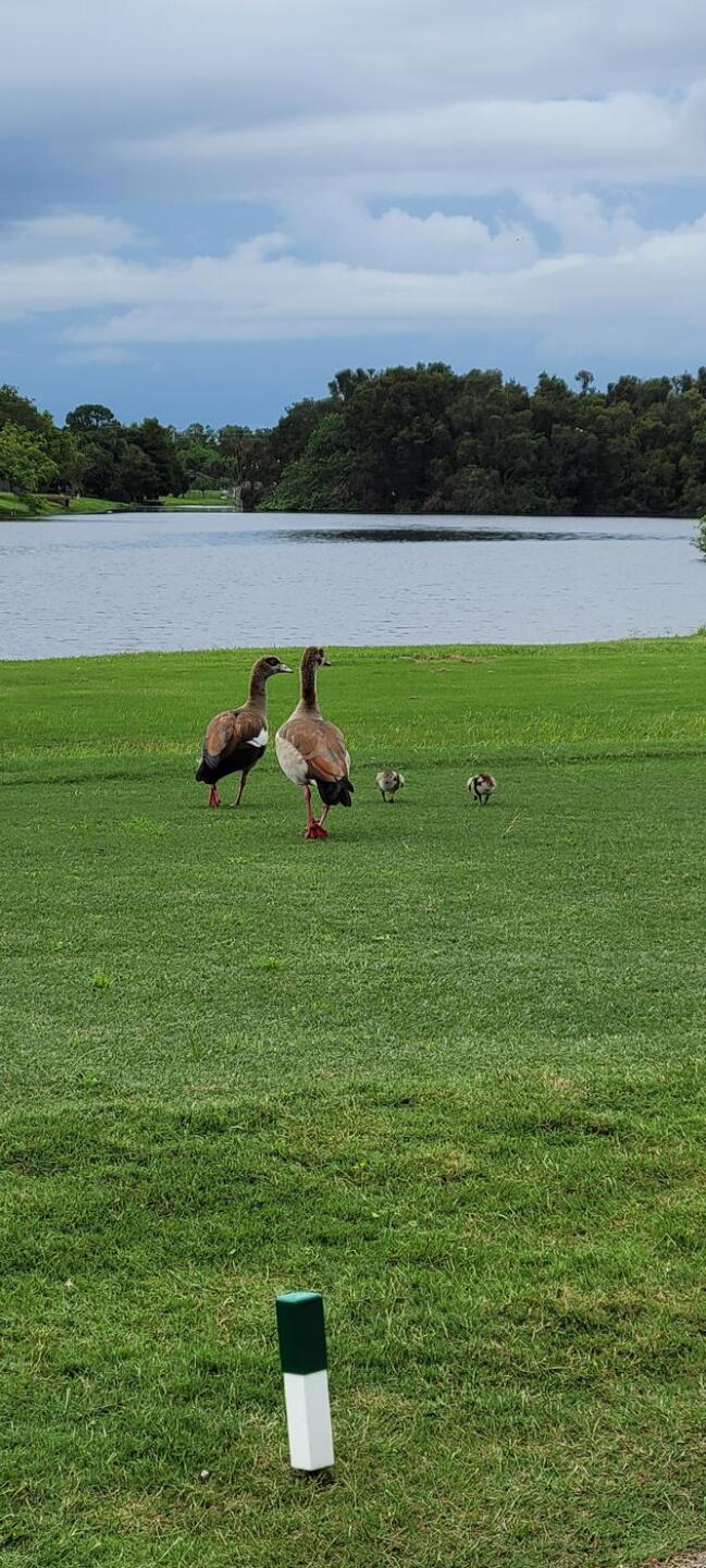 Love the nature (Photo submitted by u314160870140 on 07/05/2021)