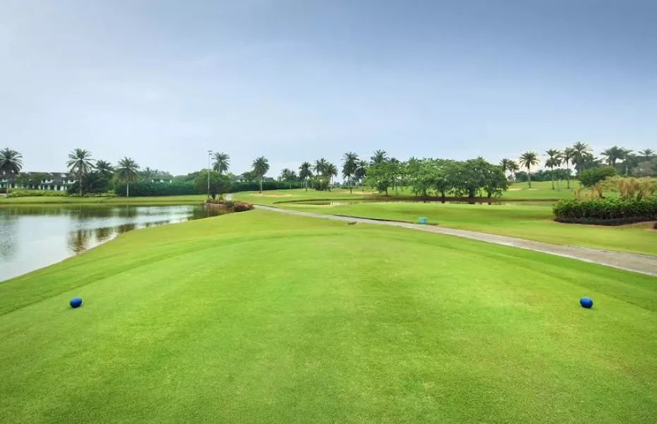 Tanjung Puteri GCC - Plantation: #8
