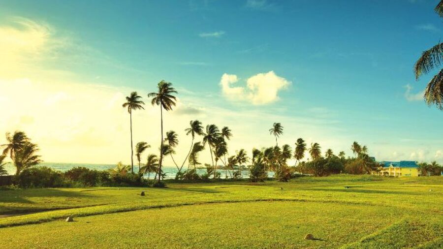 Tobago Plantations Beach & Golf Resort - Plantations