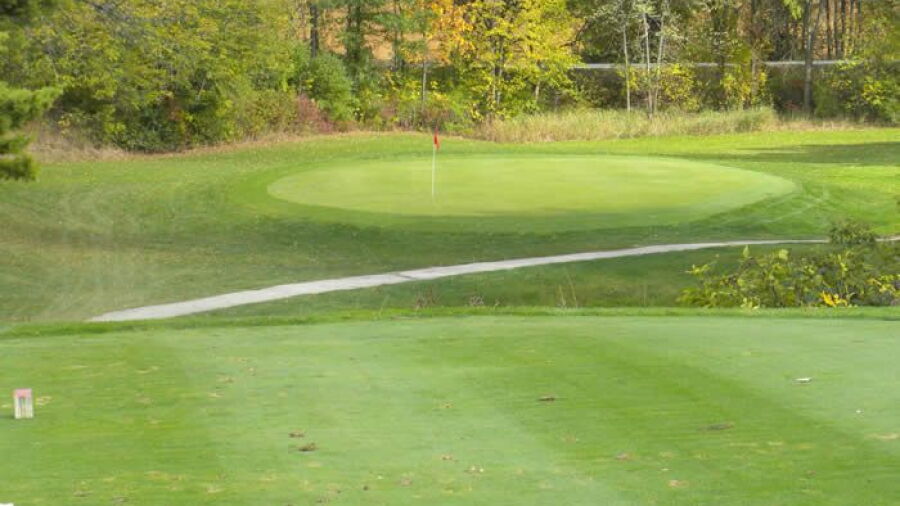 Woods GC: #17