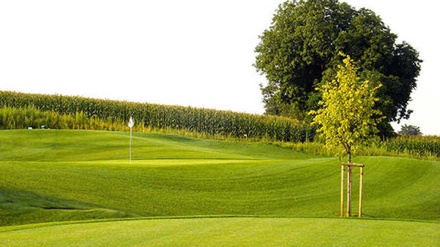 Heidelberg-Lobenfeld GC - 6-hole Short