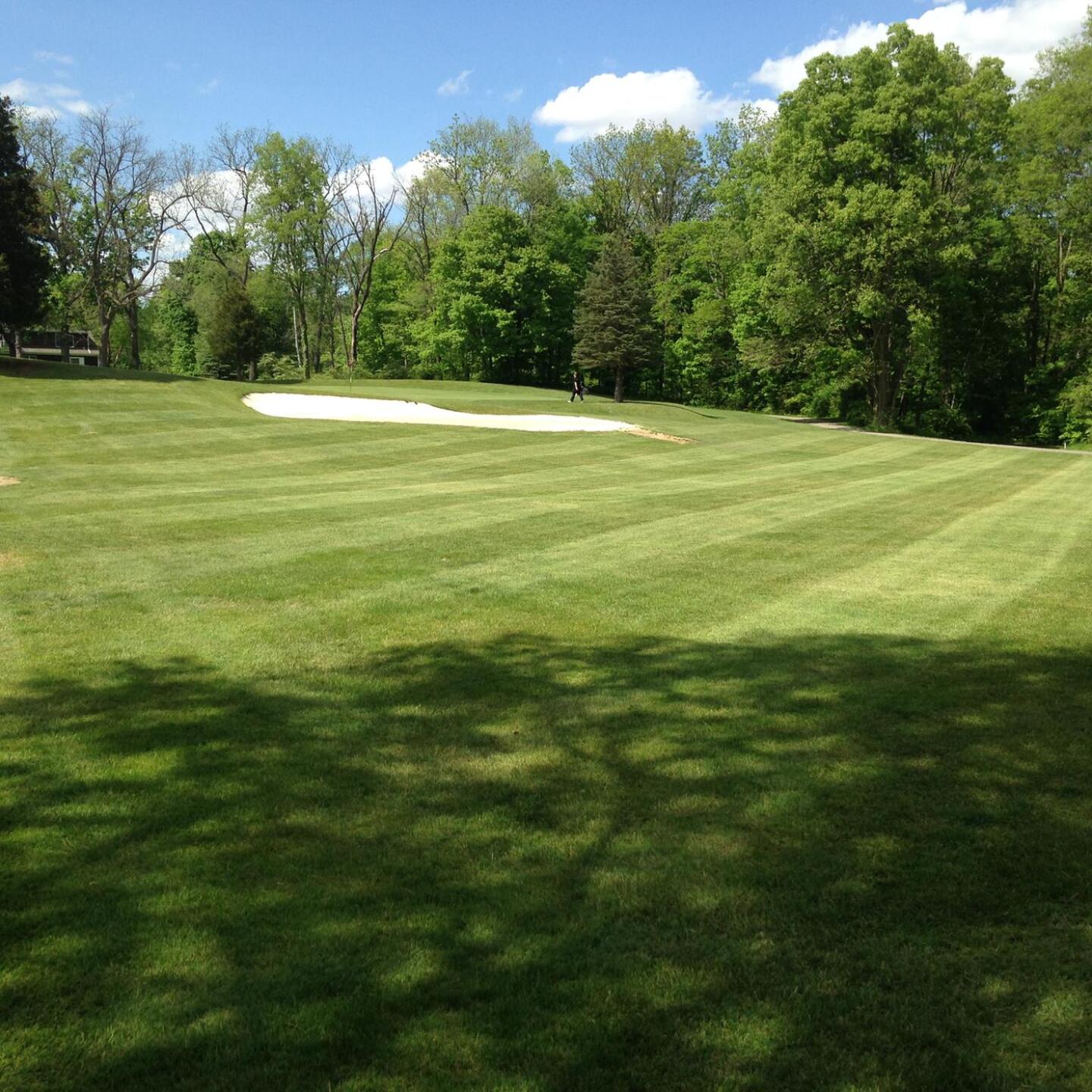 nice striping ! (Photo submitted by pacer52 on 03/03/2017)