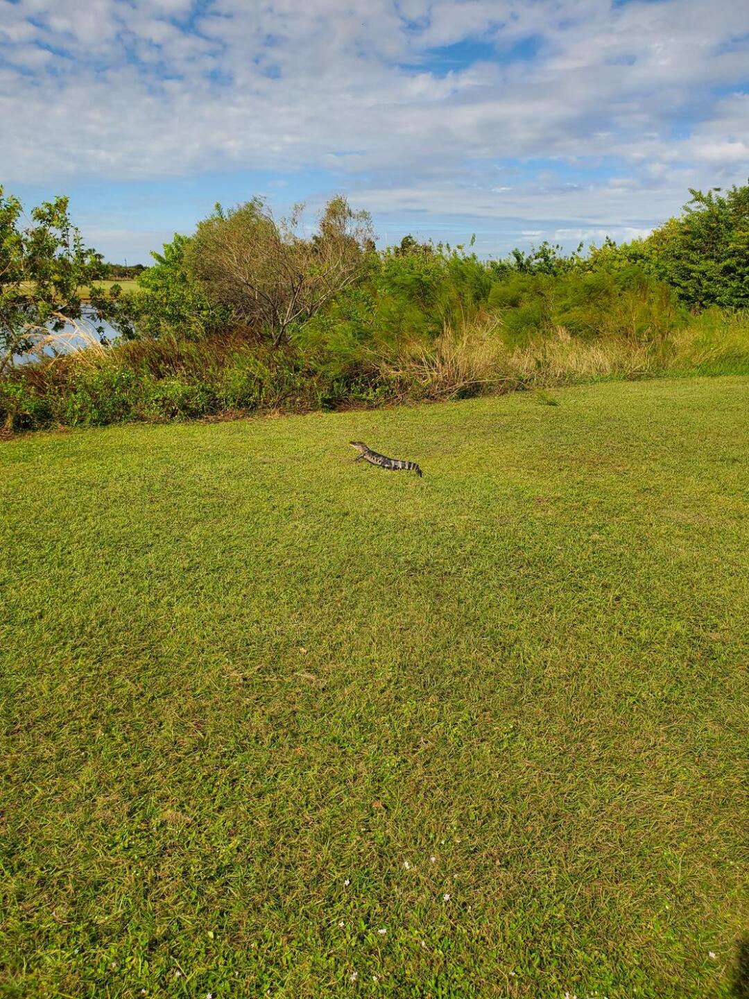 (Photo submitted by jamesamb on 10/11/2022)