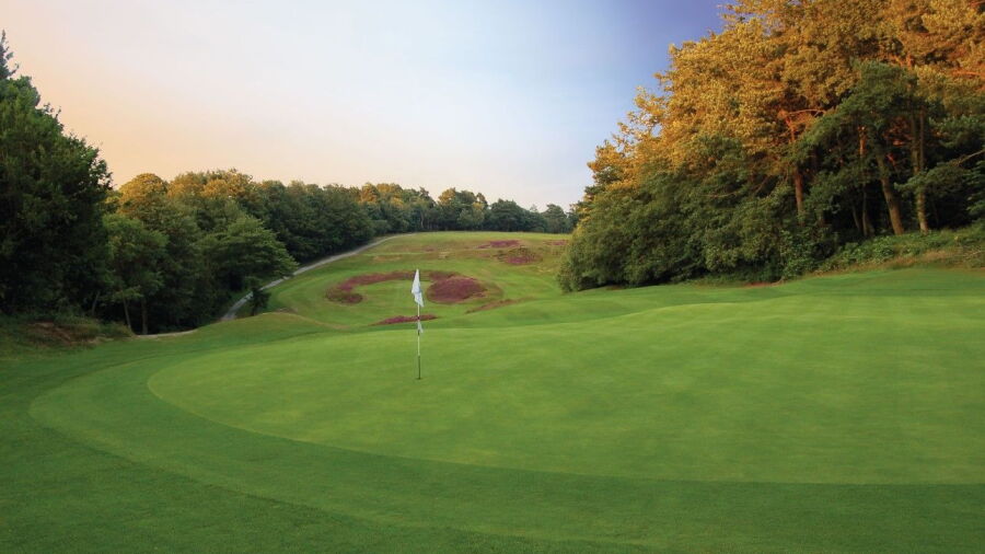 Addington GC: 12th green