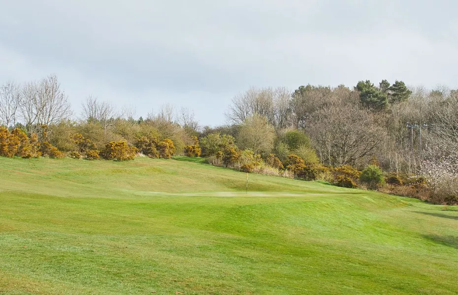 Saltburn-by-the-Sea GC: #8