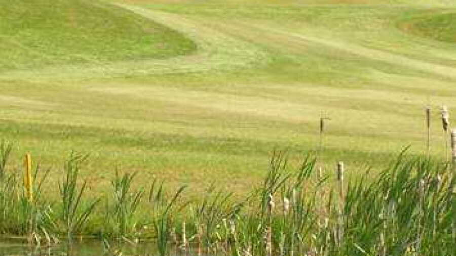 Forrester Park Resort: #7