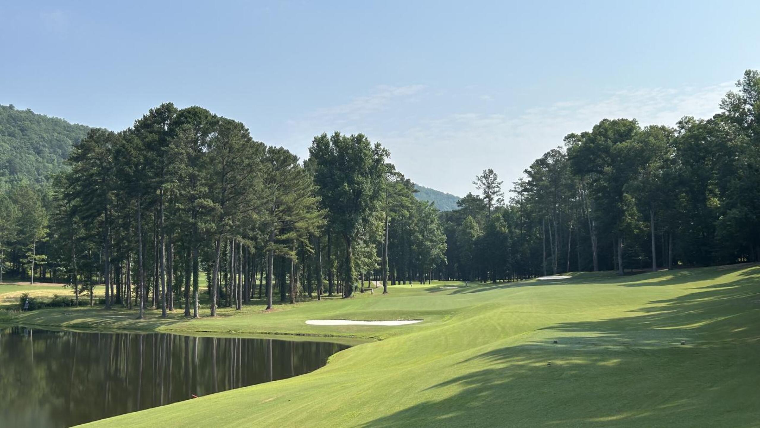 (Photo submitted by daihk1101 on 06/17/2024)