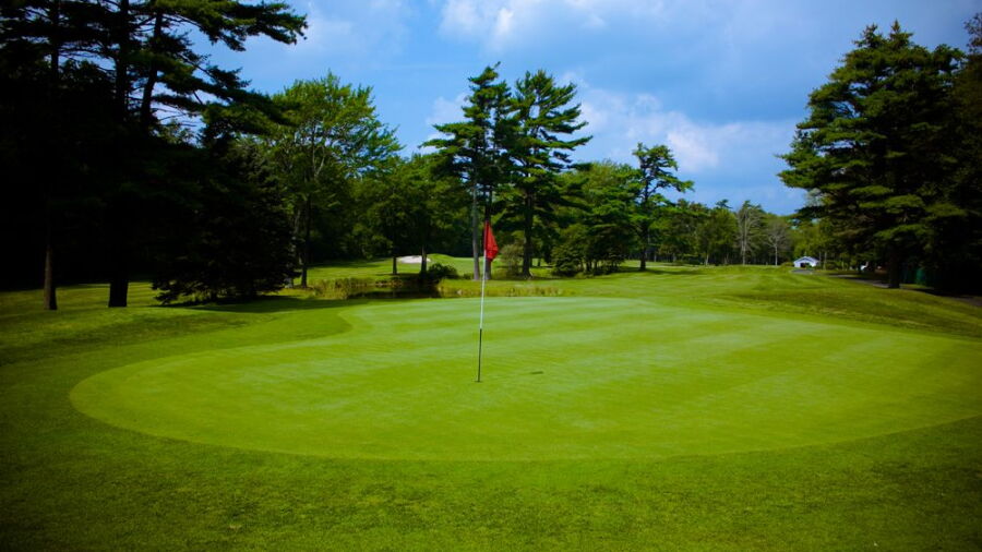 The Back Nine Club