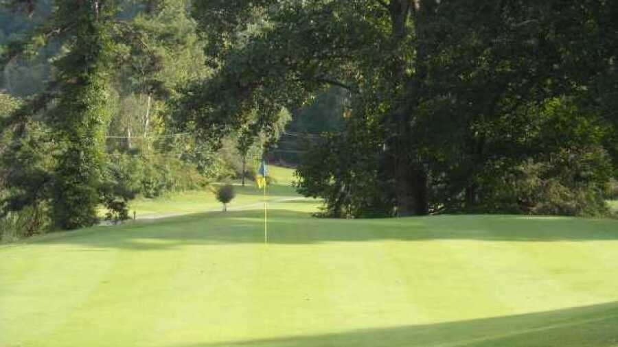 Hemlock GC: #6