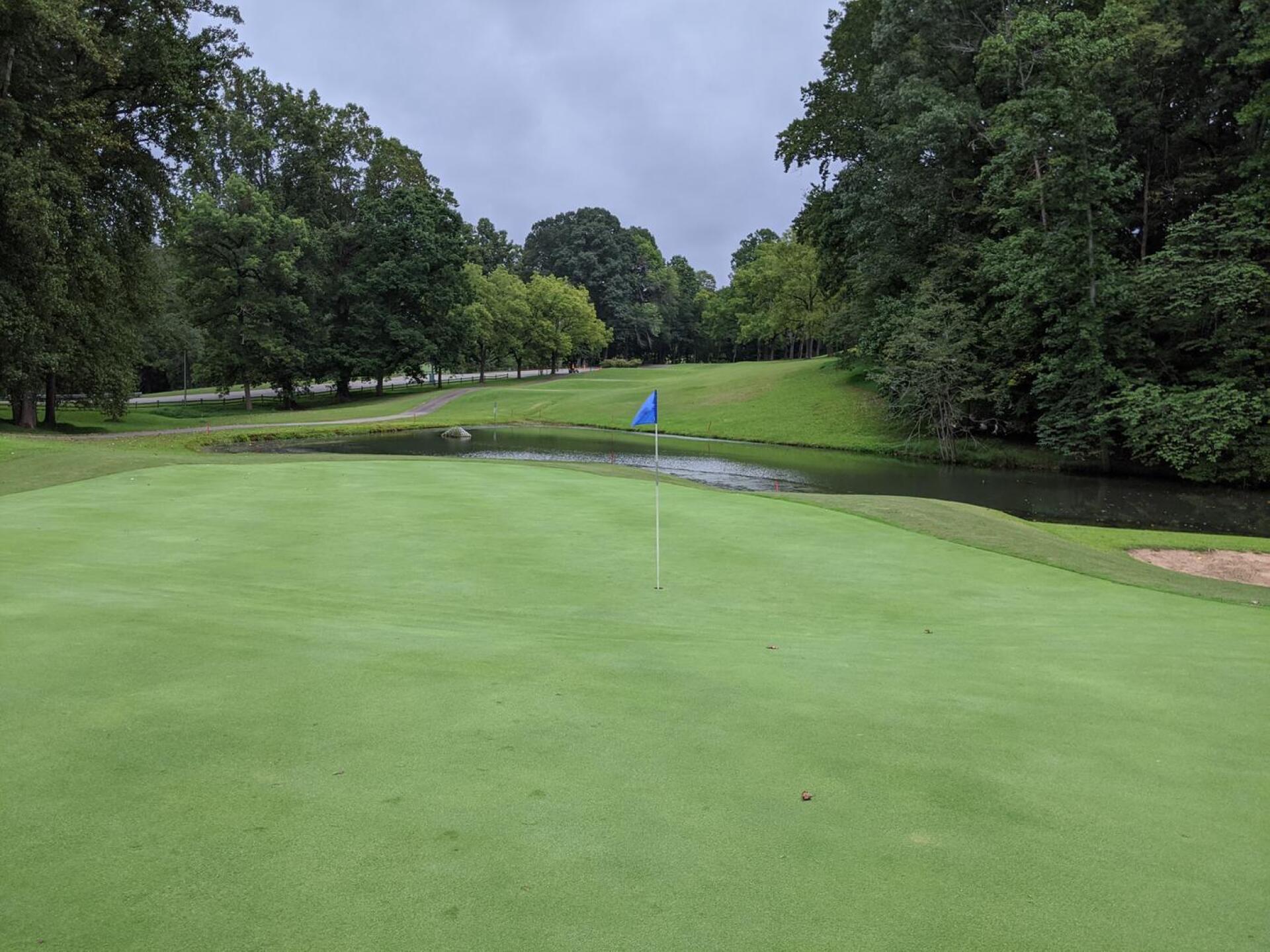 (Photo submitted by madigank on 09/09/2020)