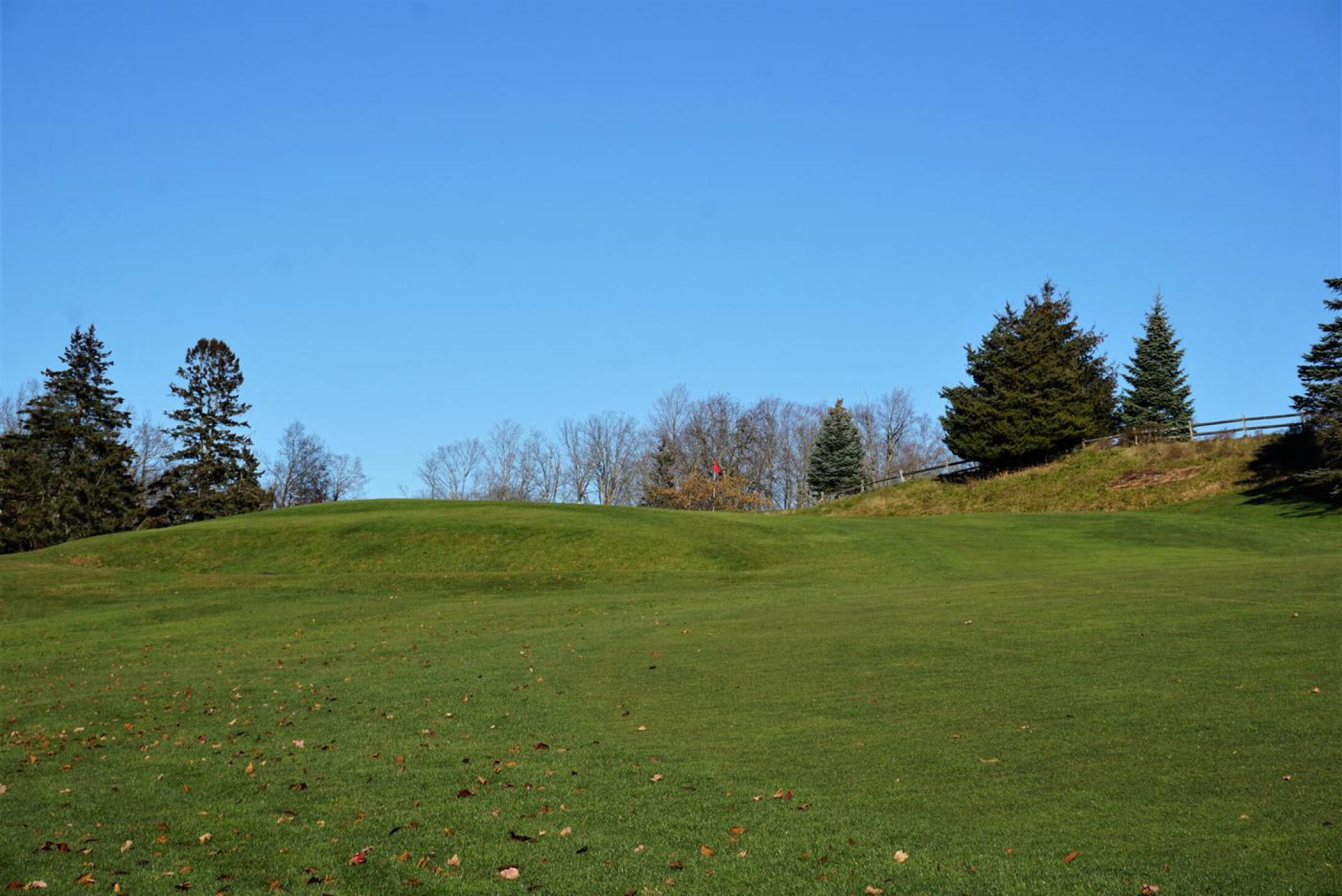 Eight also demands an excellent approach if you hope to land on the putting surface. (Photo submitted by AptlyLinked on 11/25/2021)