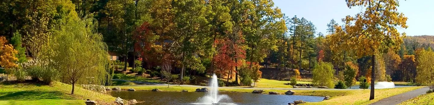 Cummings Cove GCC: #1, #10