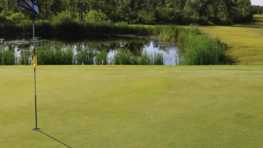 Dauphin Lake GC